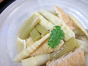 初夏の山菜☆　「フキとヒメタケ炒め煮」