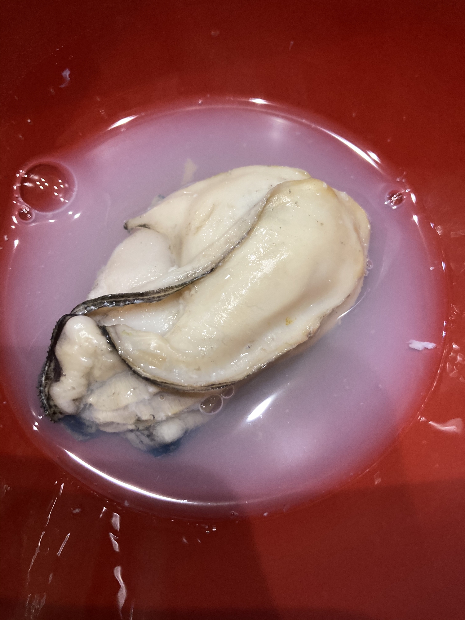 大粒の牡蠣の贅沢酒蒸し