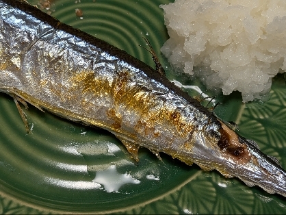 さんま　岩塩焼き