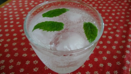 ミントで爽やかᕷ 翠 (Gin)のソーダ割りꕤ୭*