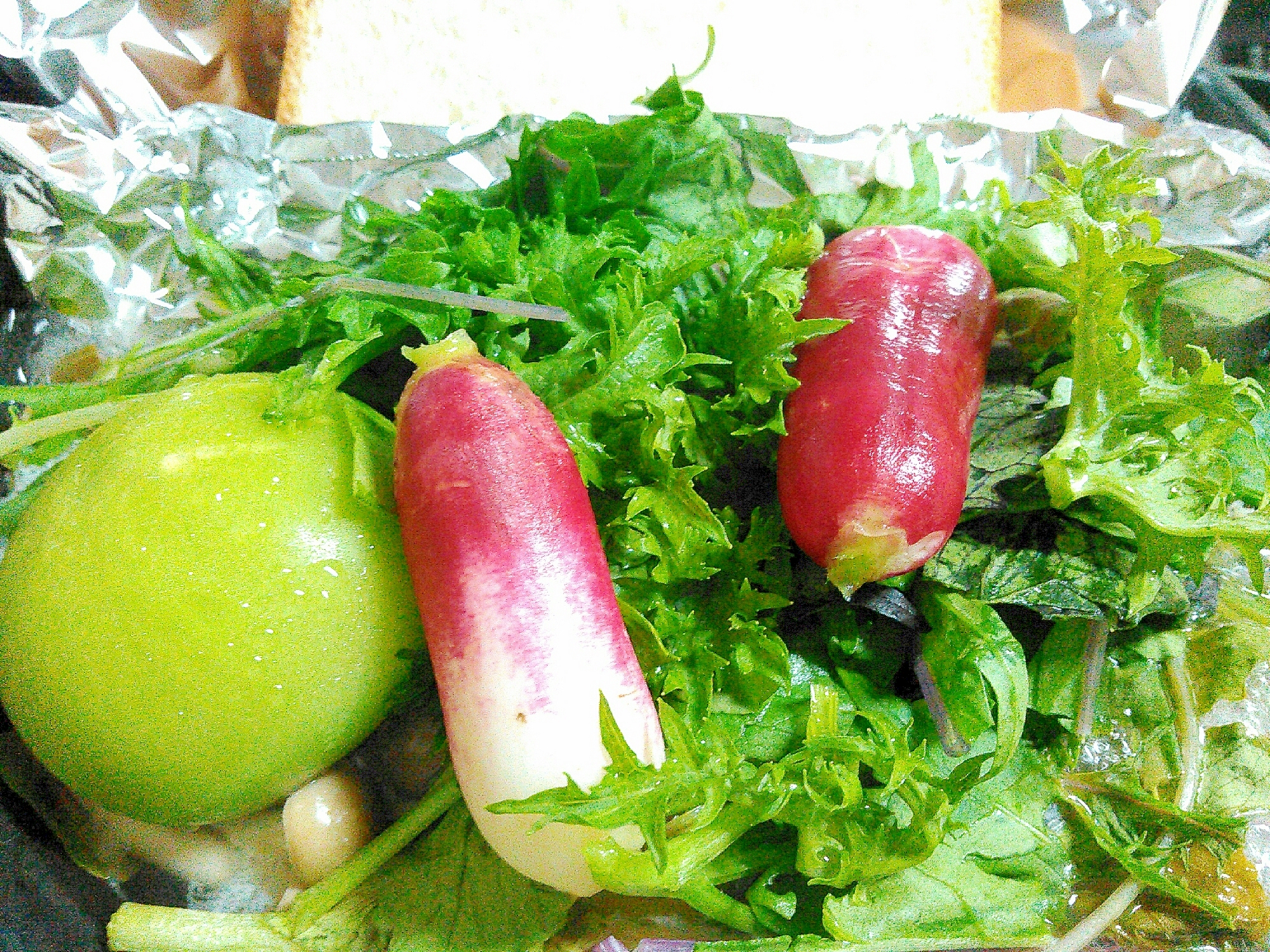 サラダ野菜とラディッシュ青トマトのサラダ