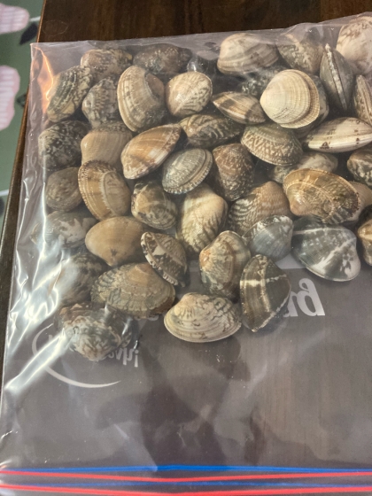 あさりの砂抜き 冷凍保存方法 レシピ 作り方 By げんきノンタン 楽天レシピ あさりの砂抜き 冷凍保存方法 レシピ 作り方 By げんきノンタン 楽天レシピ