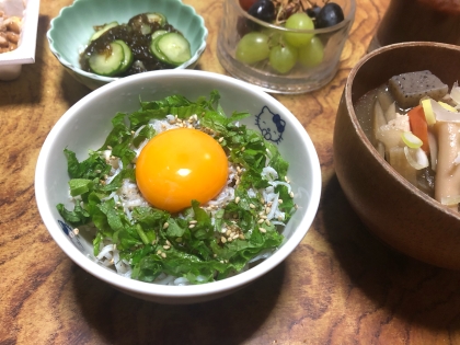 シンプルにごま油と塩のみ！簡単しらす丼！