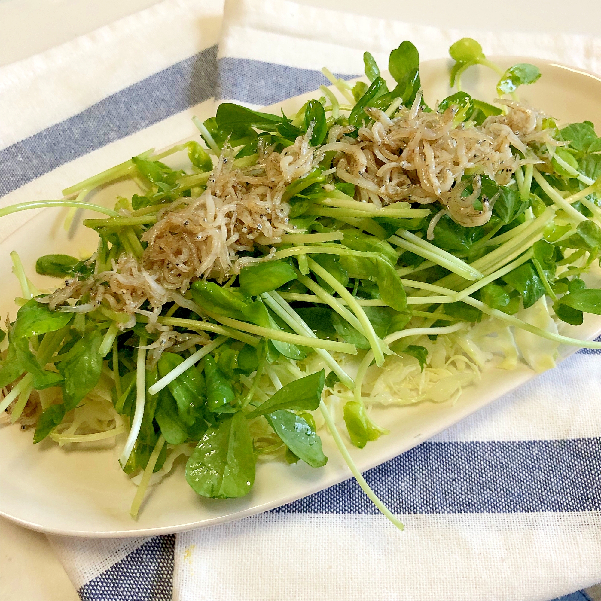 キャベツと豆苗のサラダ しらす入りごま油かけ ♪