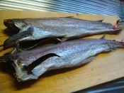 簡単節約の、『棒鱈(ぼうだら)の煮付け』 レシピ・作り方