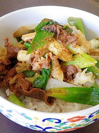 あまーい冬ネギたっぷり牛丼