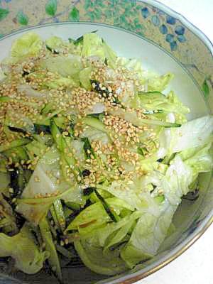 さっぱり”春雨入りレタきゅう中華風サラダ