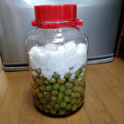 お茶受けおやつに甘いカリカリ梅・実離れもばっちり