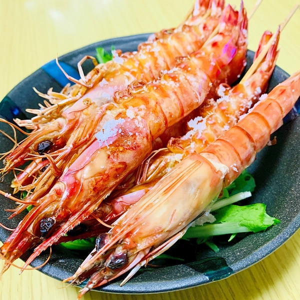 Mrsu5tfokjpkcm Mrsu5tfokjpkcm