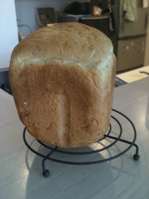 ガーリック+ハーブのパン（ＨＢ使用）