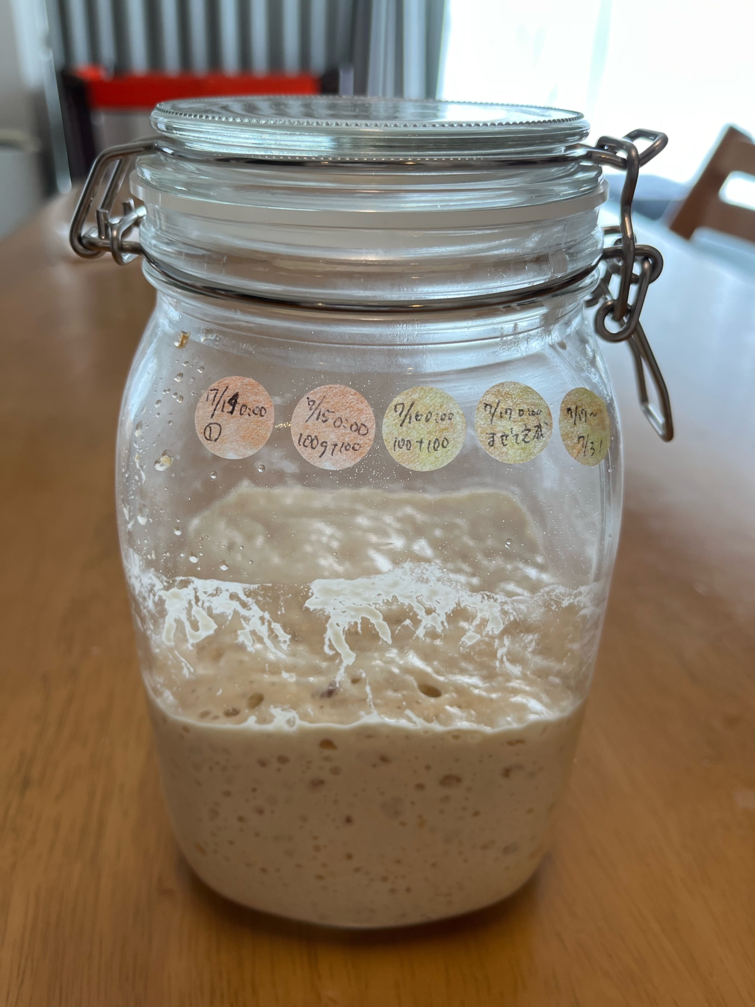 自家製プルーン酵母の元種