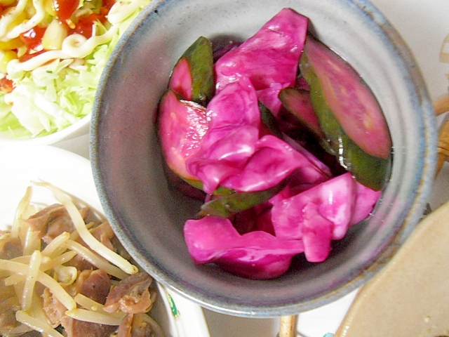 紫キャベツときゅうりの甘酢漬け　ピクルス