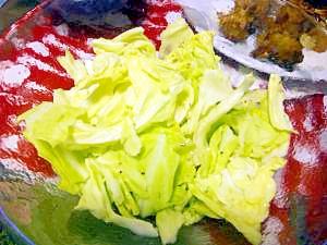 簡単 美味しい キャベツサラダ レシピ 作り方 By Ai030 楽天レシピ 簡単 美味しい キャベツサラダ レシピ 作り方 By Ai030 楽天レシピ