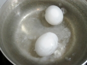 Jqr77wfcakgc9m Jqr77wfcakgc9m