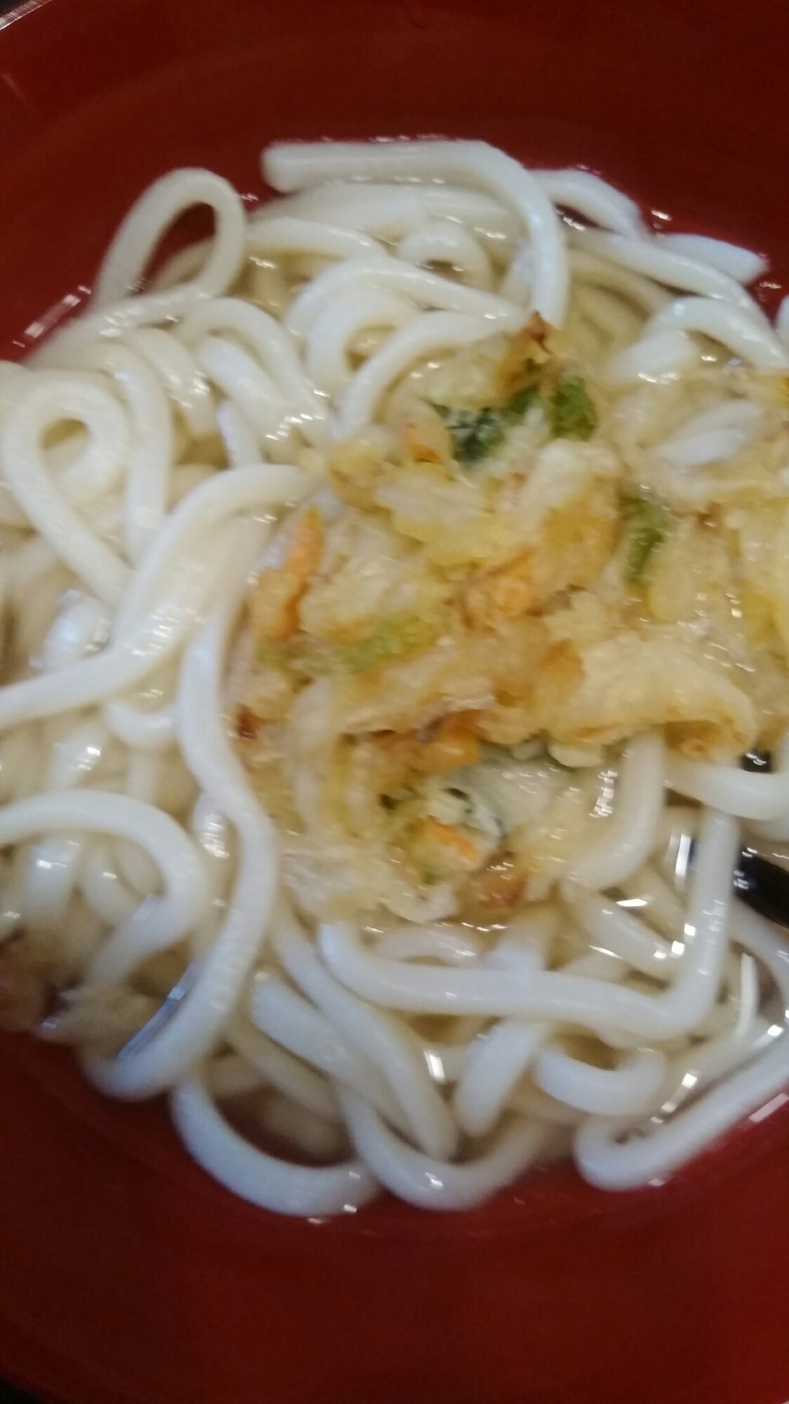 えびかき揚げうどん