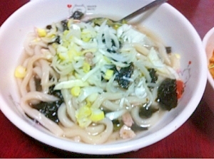 夜食に食べたい！あっさり鳥うどん