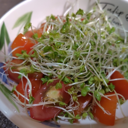 ブロッコリーとトマトのさっぱりガーリック和え