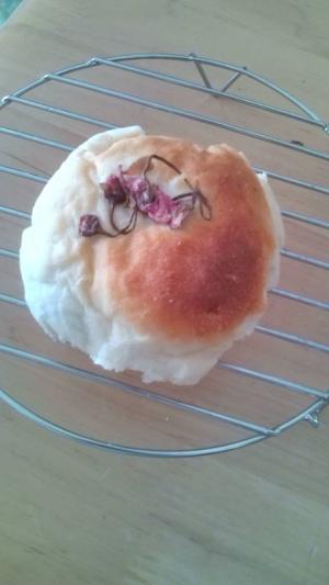春はやっぱり!さくらあんぱん