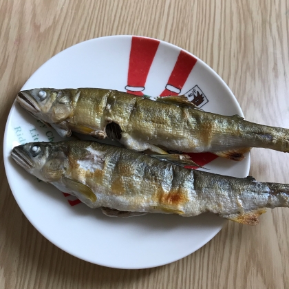 魚焼きグリルを使った鮎の塩焼き