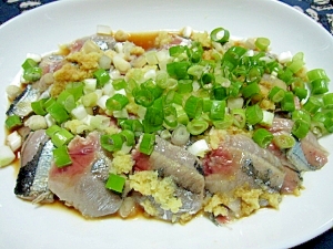 炙りさんまのたたき レシピ 作り方 By けいちゃん088 楽天レシピ 炙りさんまのたたき レシピ 作り方 By けいちゃん088 楽天レシピ