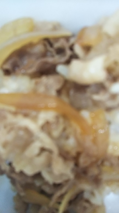 癖になる牛丼　牛肉丼