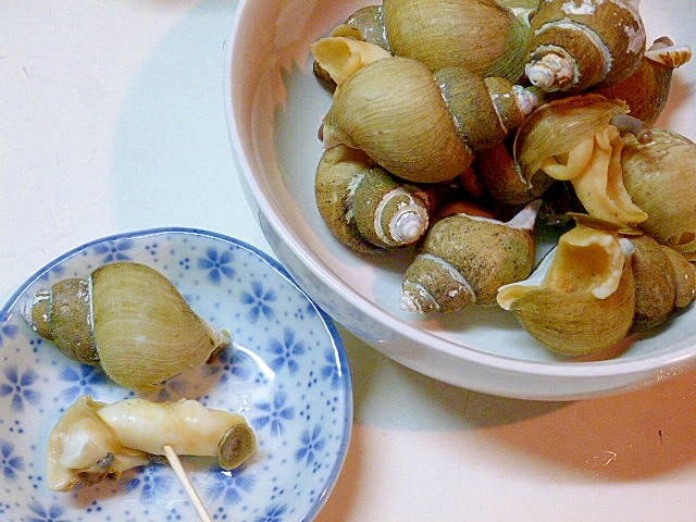 茹でるだけ 白ミつぶ貝のボイル レシピ 作り方 By さとママ3645 楽天レシピ 茹でるだけ 白ミつぶ貝のボイル レシピ 作り方 By さとママ3645 楽天レシピ