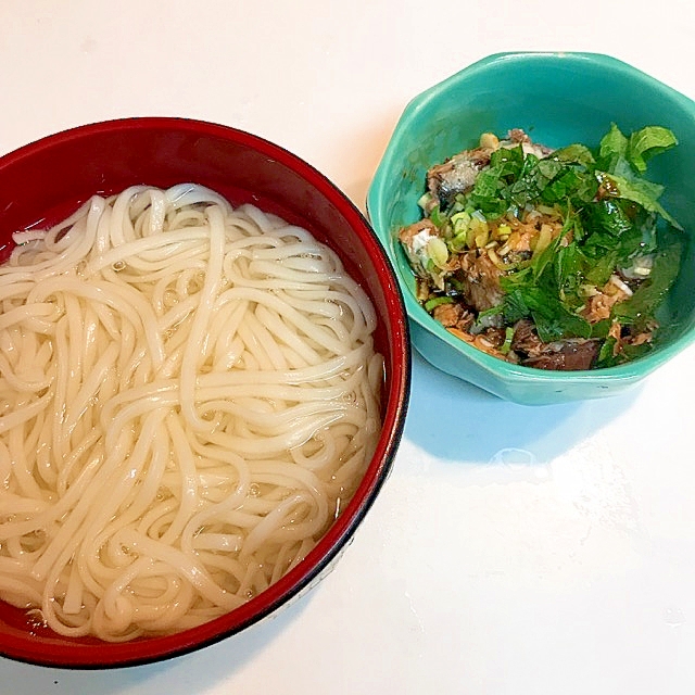 大葉と長ネギの☆美味しいひっぱりうどん