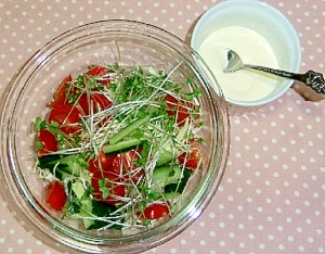 ビタミンカラーの野菜サラダ