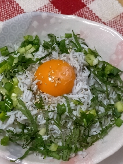 栄養たっぷりご飯に乗っけるだけ♪しらす丼