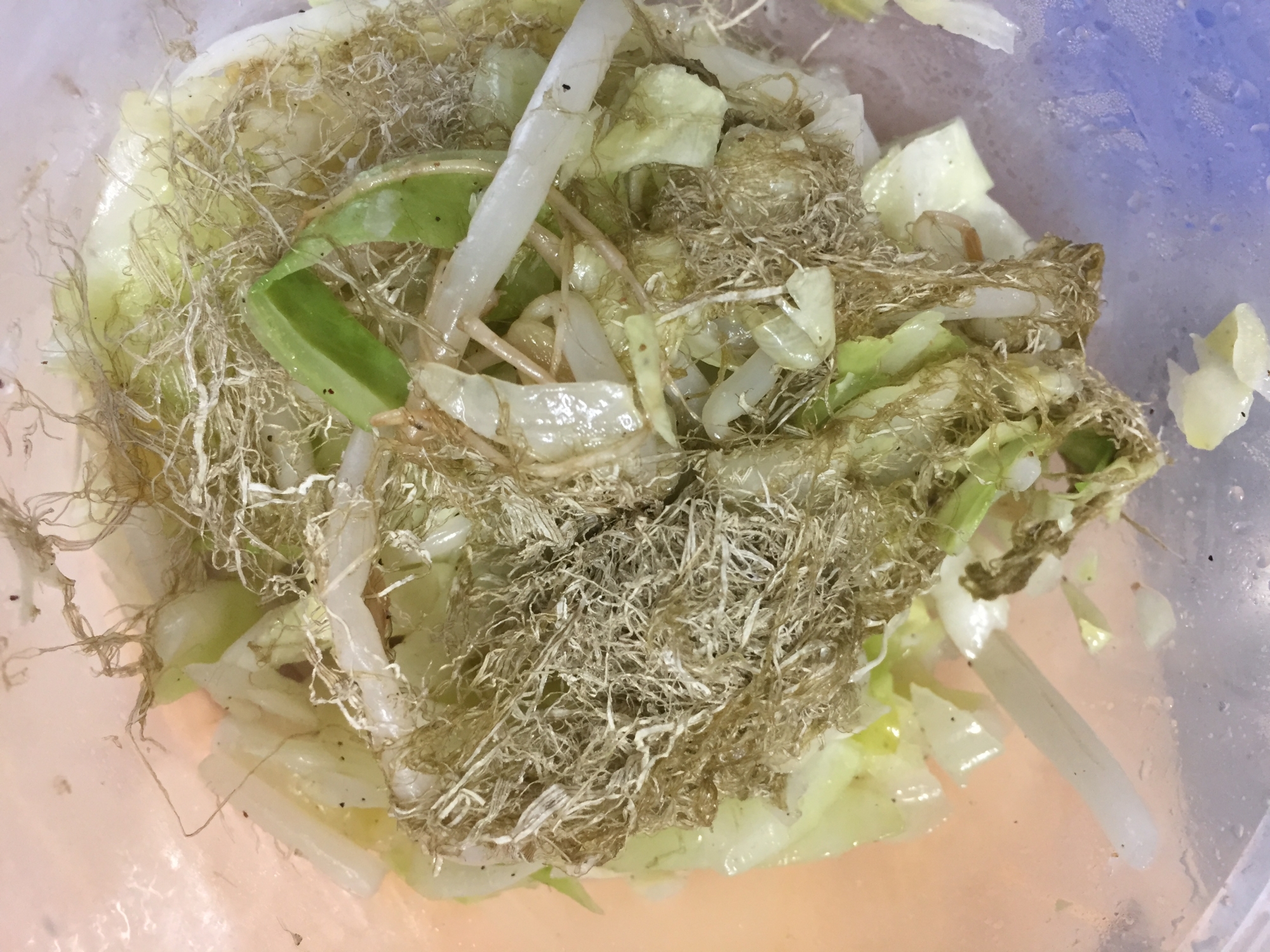 野菜炒めにとろろ昆布あえ！