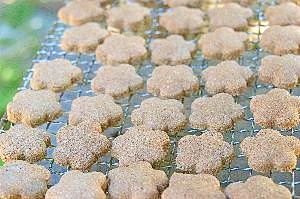 玄米粉と全粒粉のシナモンクッキー