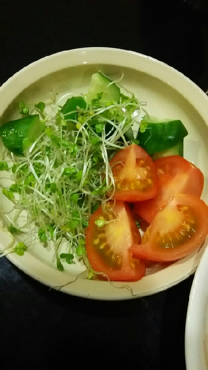 野菜が高いけど、スプラウトはよく食べます。トマトと相性いいですね。