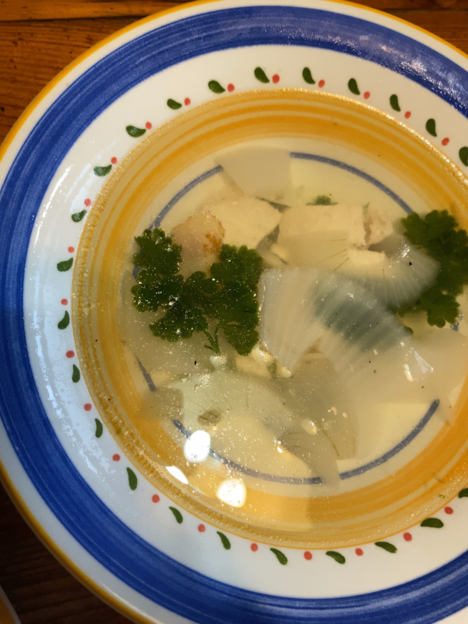 鶏胸肉と玉ねぎのあっさり野菜スープ(o^^o)