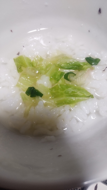 レタス細ねぎ入りご飯♪