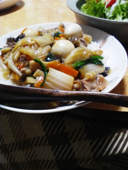 早速、作ってみました　中華丼！美味しかった~この味が最高ね♪次回は目玉焼きをのせます