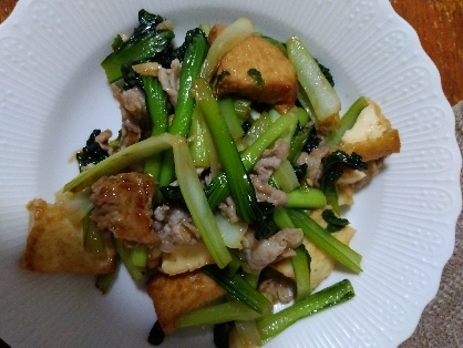 厚揚げと青梗菜ともやしの炒め物