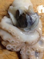 イイダコの下処理 楽天レシピ イイダコの下処理 楽天レシピ