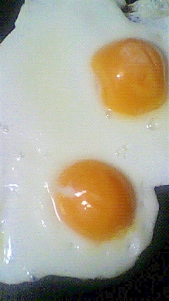 冷凍卵1つ 小さな目玉焼き レシピ 作り方 By 雪だるま4126 楽天レシピ 冷凍卵1つ 小さな目玉焼き レシピ 作り方 By 雪だるま4126 楽天レシピ