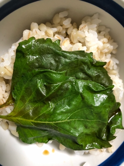 大葉のにんにく醤油漬け★長期保存可能★作り置きに