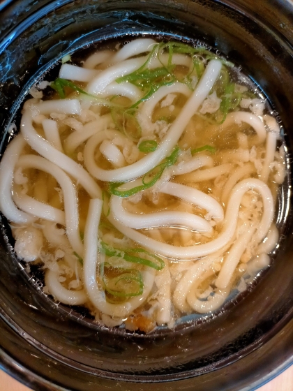 沼地たぬきうどん
