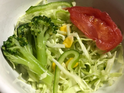 火を使わない～✨野菜たっぷり丼✨ご飯や蕎麦うどんに