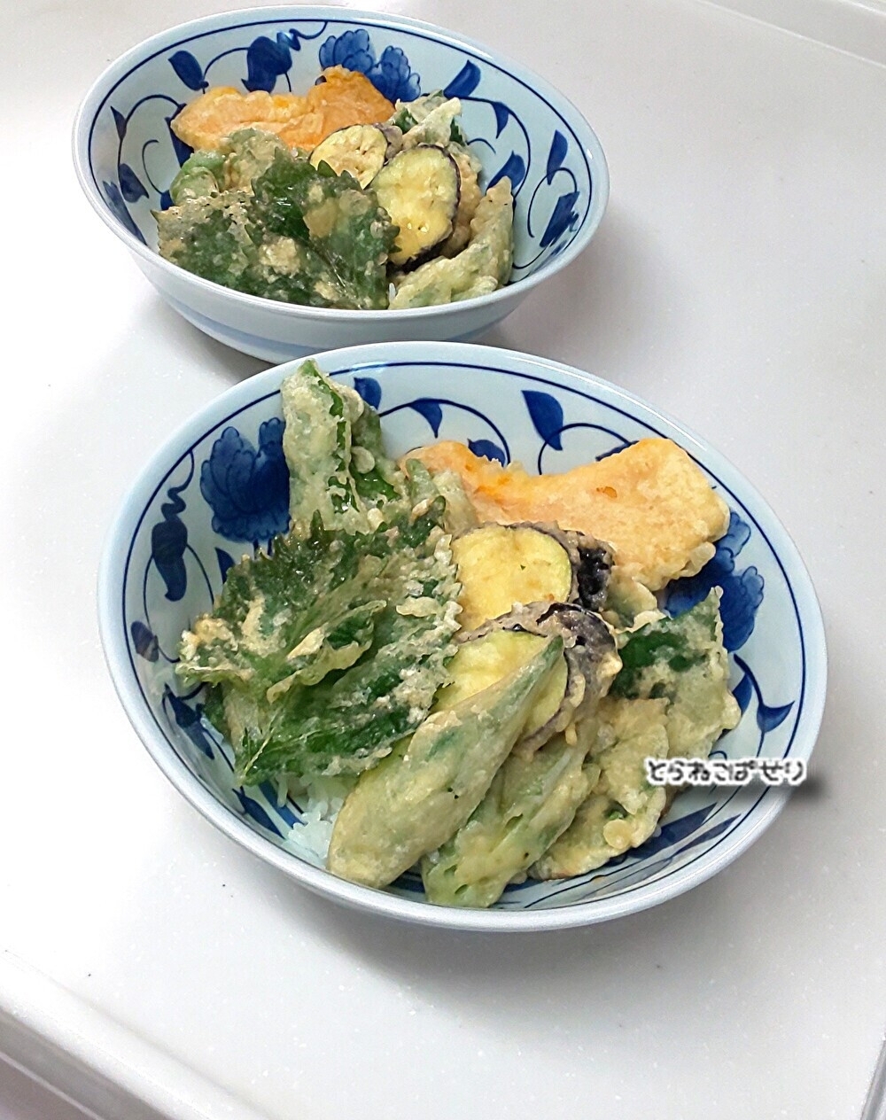 夏野菜いろいろ☘️たっぷり天丼