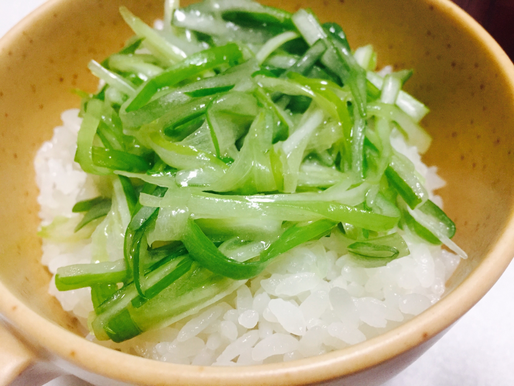 ネギ丼！