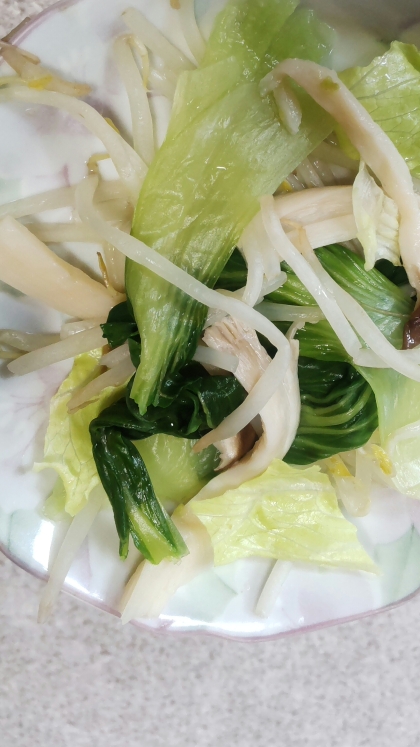 青梗菜サニーレタスもやしエリンギのホットサラダ