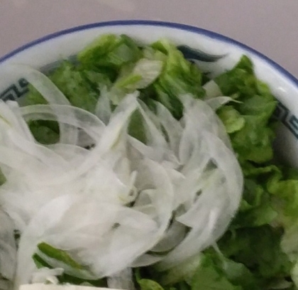 レタスと新玉ねぎのサラダ