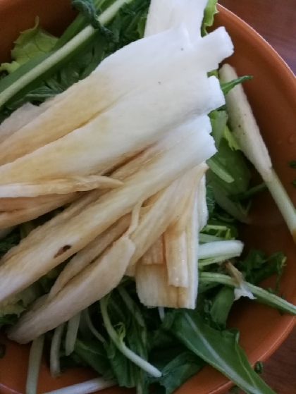 レタスと水菜と長芋のサラダ