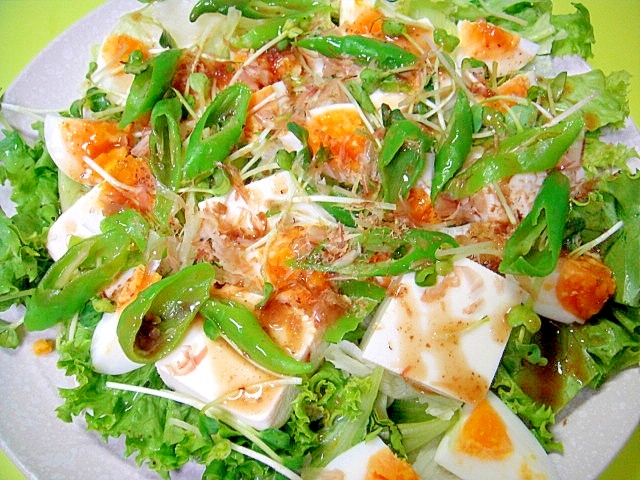 豆腐とゆで卵万願寺唐辛子のおかかサラダ