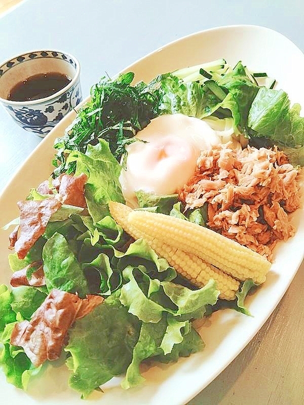 野菜たっぷり　サラダうどん
