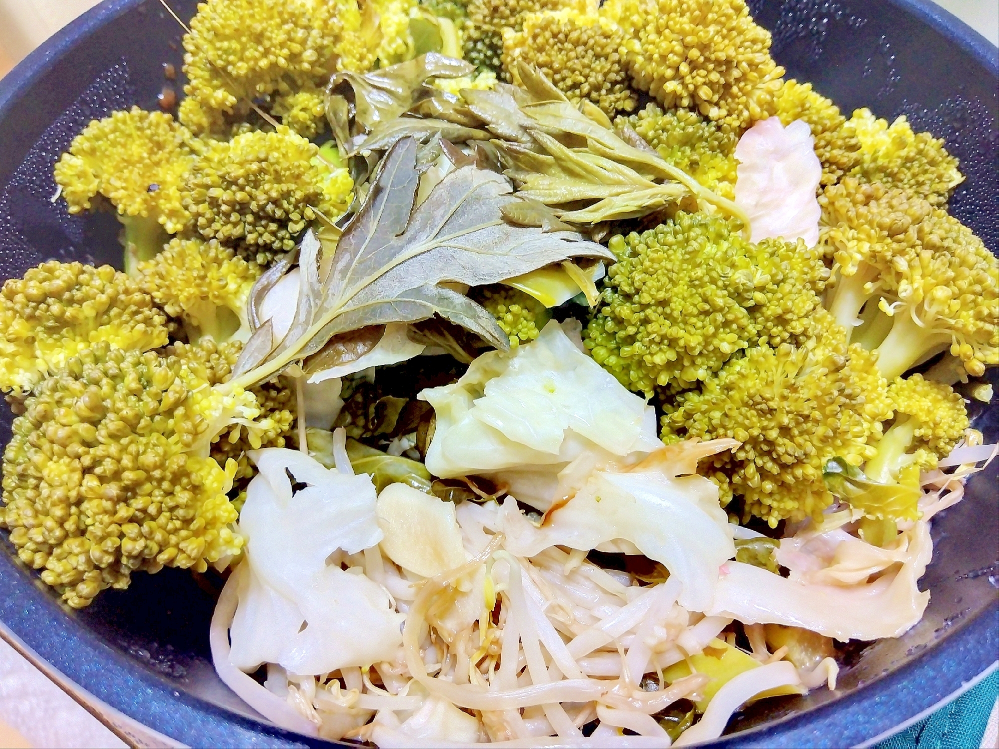 ブロッコリー黒豆もやしフーチバーきゃべつ蒸し煮