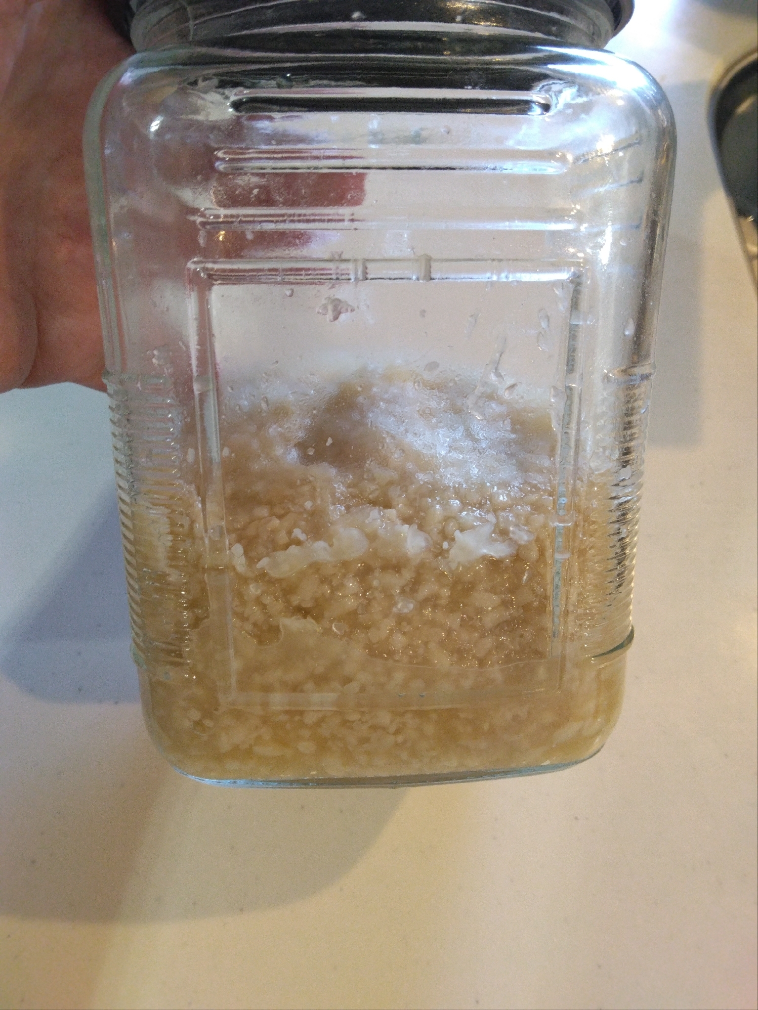 うま味アップ！だしのかわりに【玉ねぎこうじ】